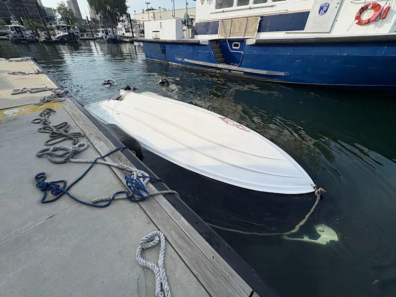 NYCCapsizedBoat001.jpg