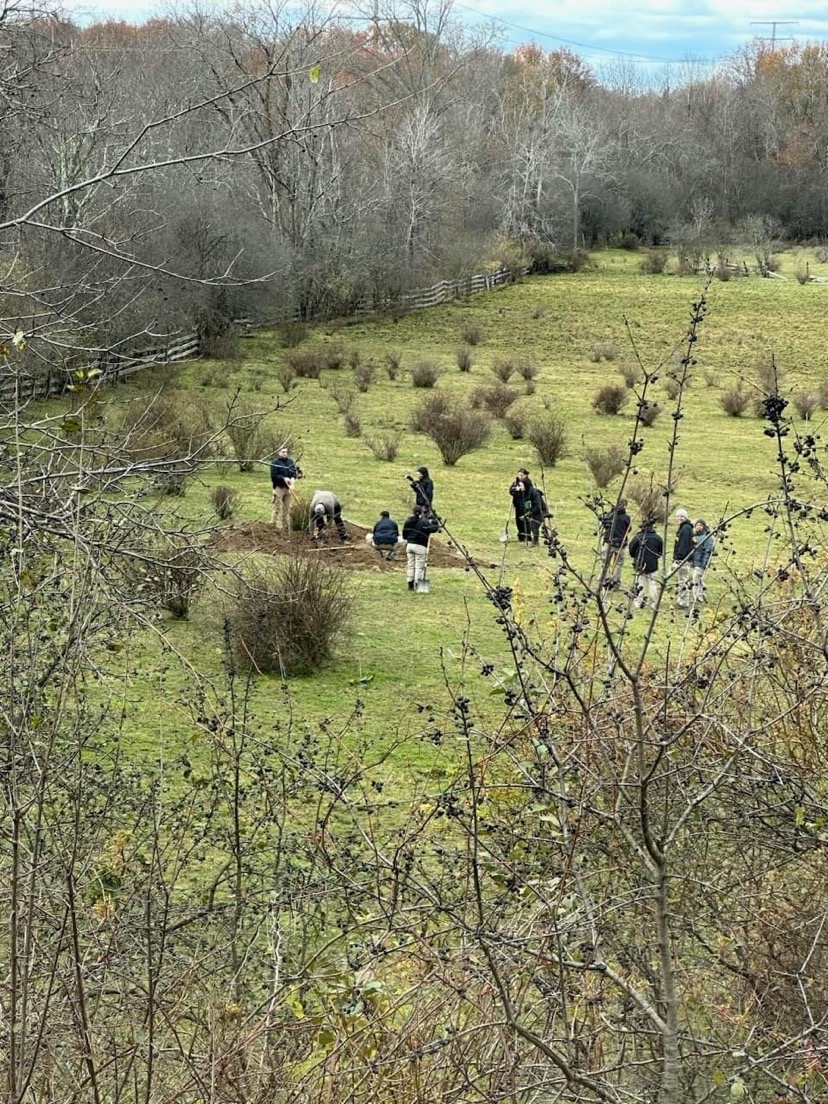 MicrosoftTeams-image (19).png