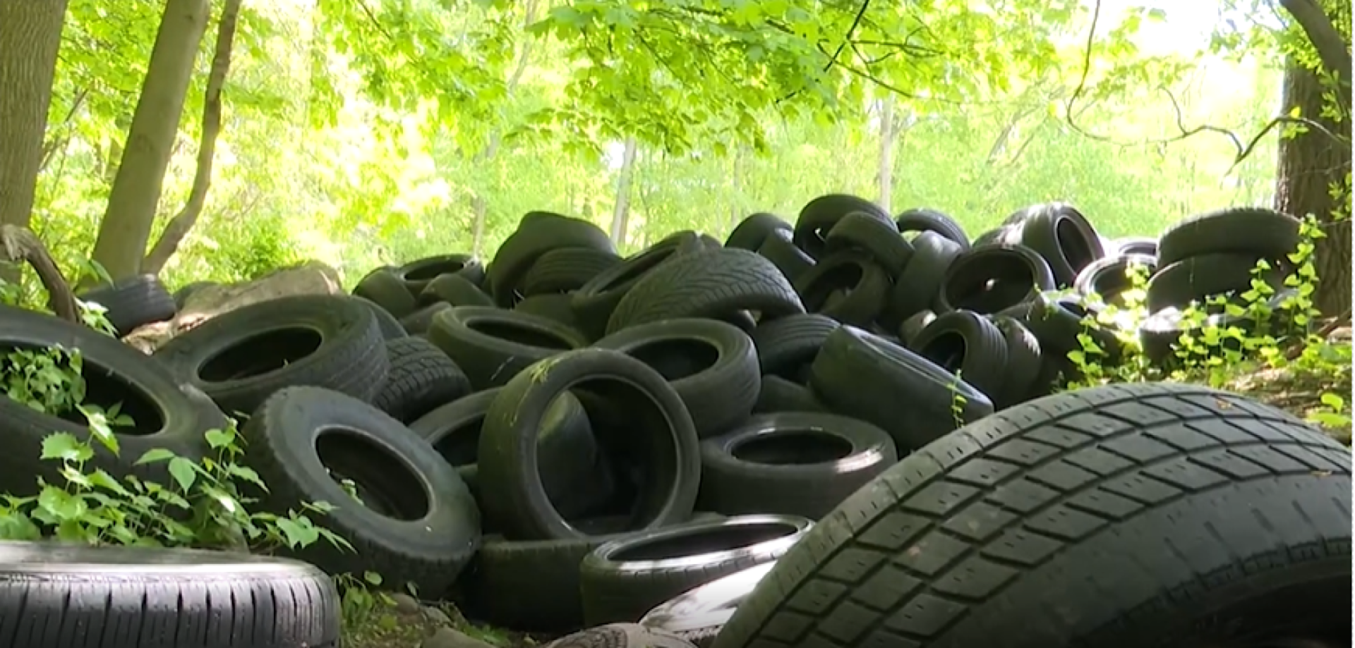 Westchester aims to identify who illegally dumped tires at Yonkers park
