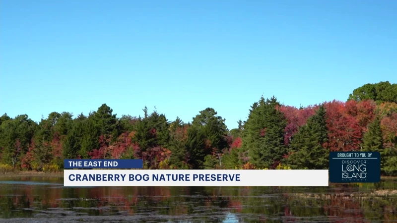 Story image: The East End: Cranberry Bog Nature Preserve