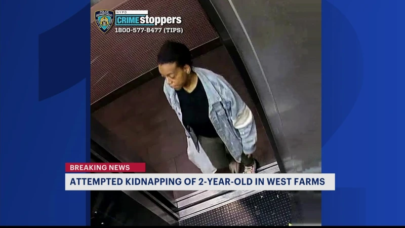 Story image: 32-year-old Bronx woman arrested, charged in attempted kidnapping