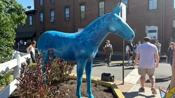 Frenchtown Mule Photo Credit Frenchtown Borough