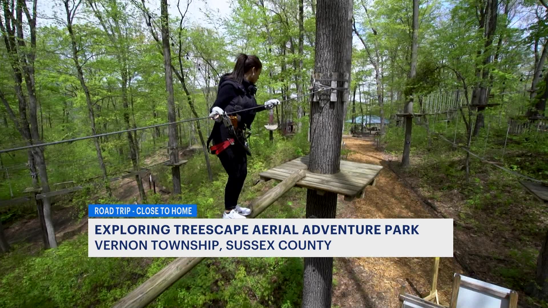 Looking for an adventure Climb on the high ropes at Treescape Aerial