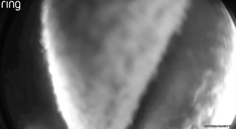 IMG_9422.jpeg