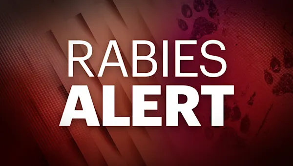 A cat has tested positive for rabies in Suffolk County A cat has tested positive for rabies in Suffolk County