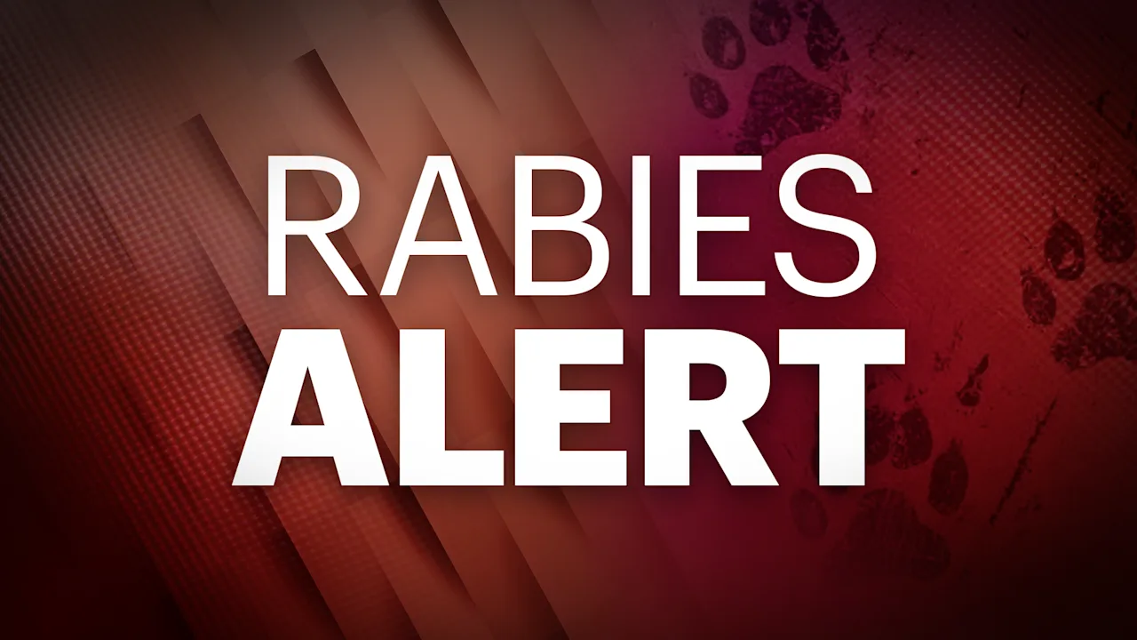 RABIES ALERT