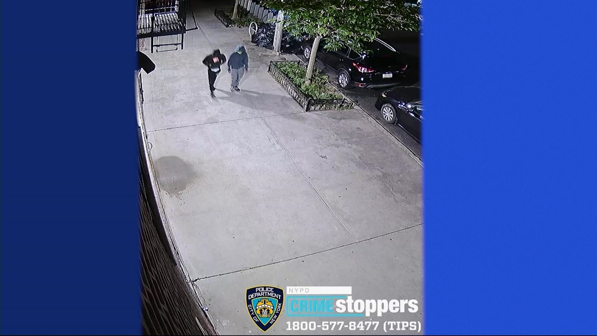 News 12 | Brooklyn | Nypd Ride Share Driver Shot In The Head In ...