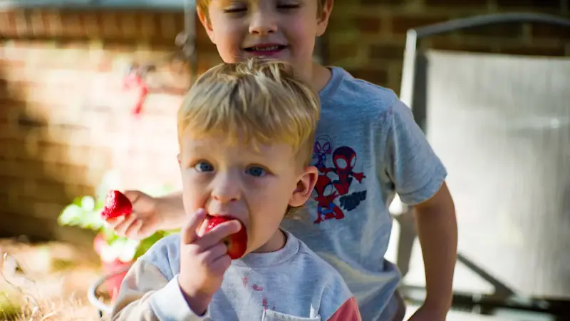 Story image: WIC food program receives $300M to keep running during government shutdown