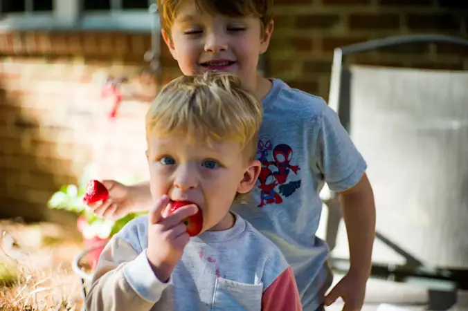 Story image: WIC food program receives $300M to keep running during government shutdown