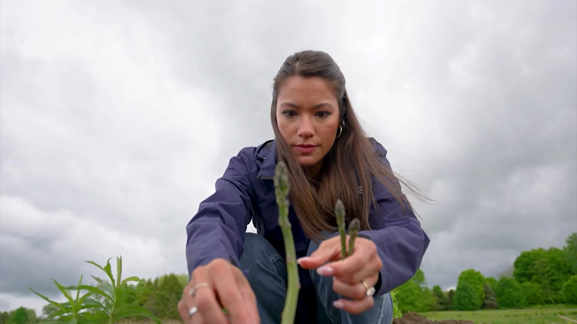 U-pick season begins at Greig Farm in Red Hook - Vimarsana News