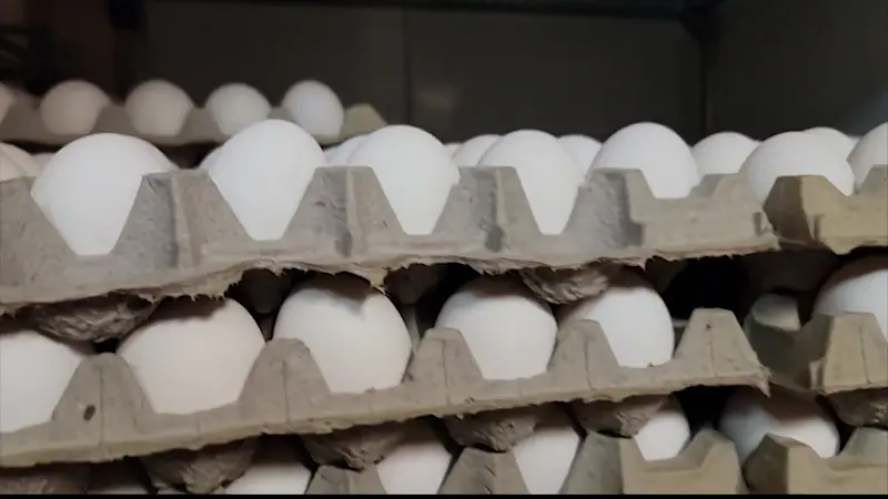 Story image: Connecticut businesses scramble to find best egg prices as costs soar