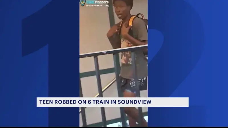 Story image: Teen punched and robbed at Morrison Avenue-Soundview station 