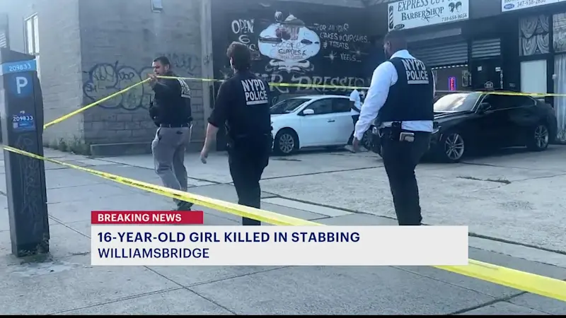 Story image: NYPD: 16-year-old fatally stabbed in Williamsbridge 