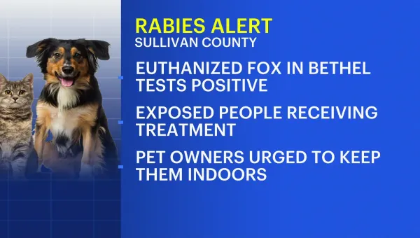 Rabies alert issued in Sullivan County after fox tests positive