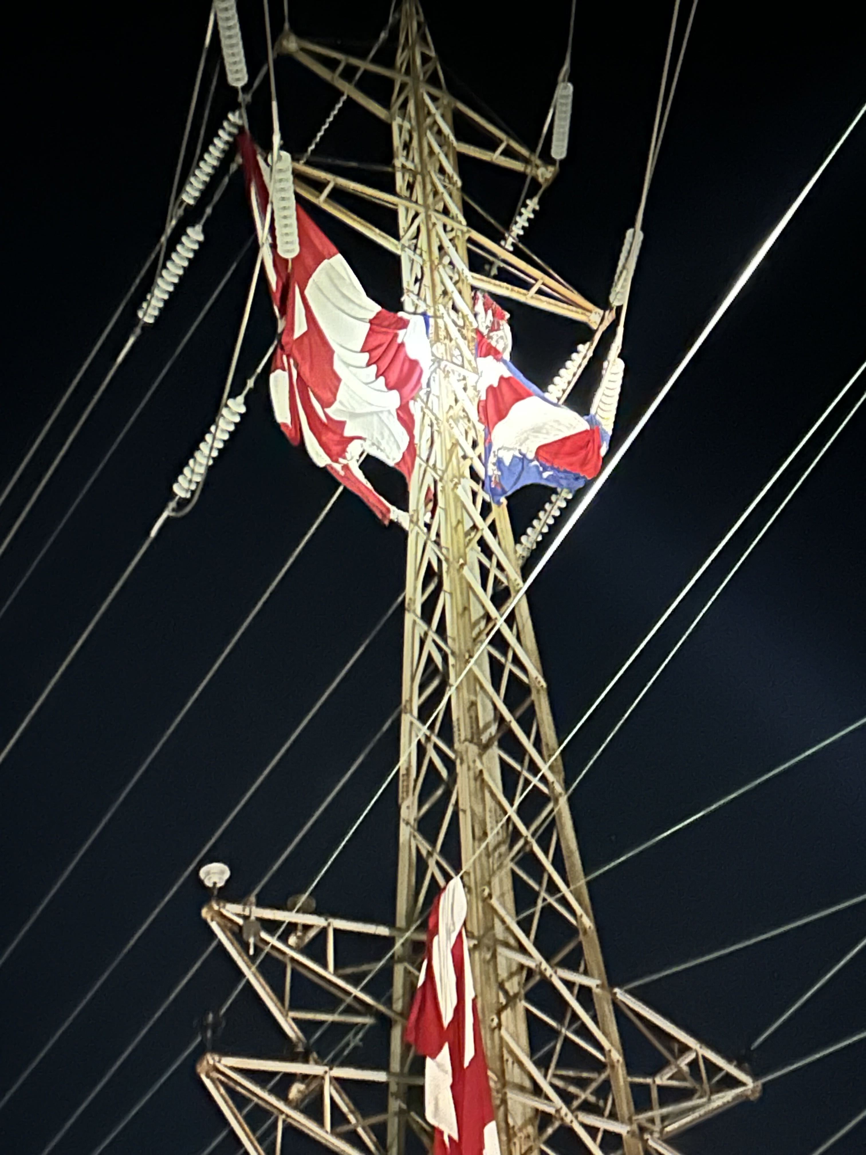 Flag_in_Transmission_Line.jpg