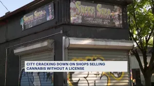 Four smoke shops busted in city-wide crackdown on illegal weed shops