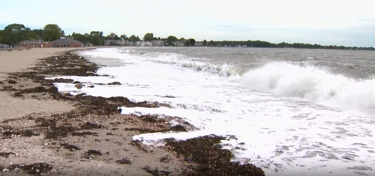 WESTPORT STORM 