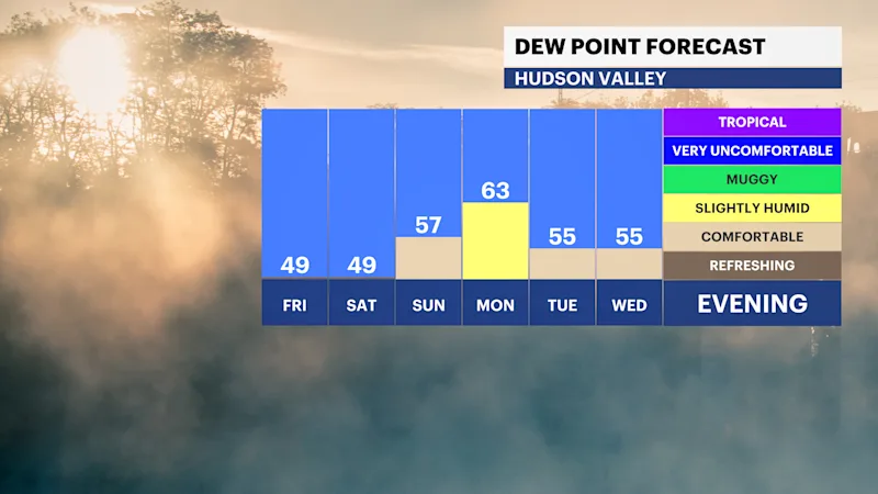 FB_Dewpoint_Daily.png