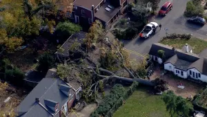VIDEO: Chopper 12 above Long Island storm damage