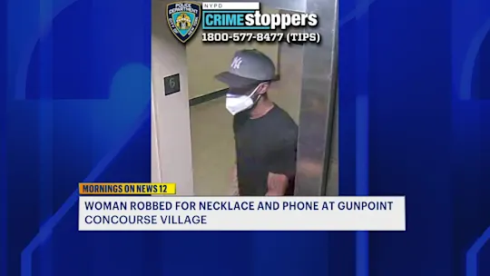 5APark Avenue Robbery ST_2026-07-24-05-37-30