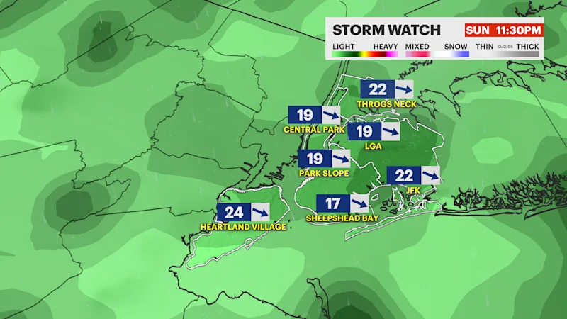 F_Alert_StormWatch_wind.png