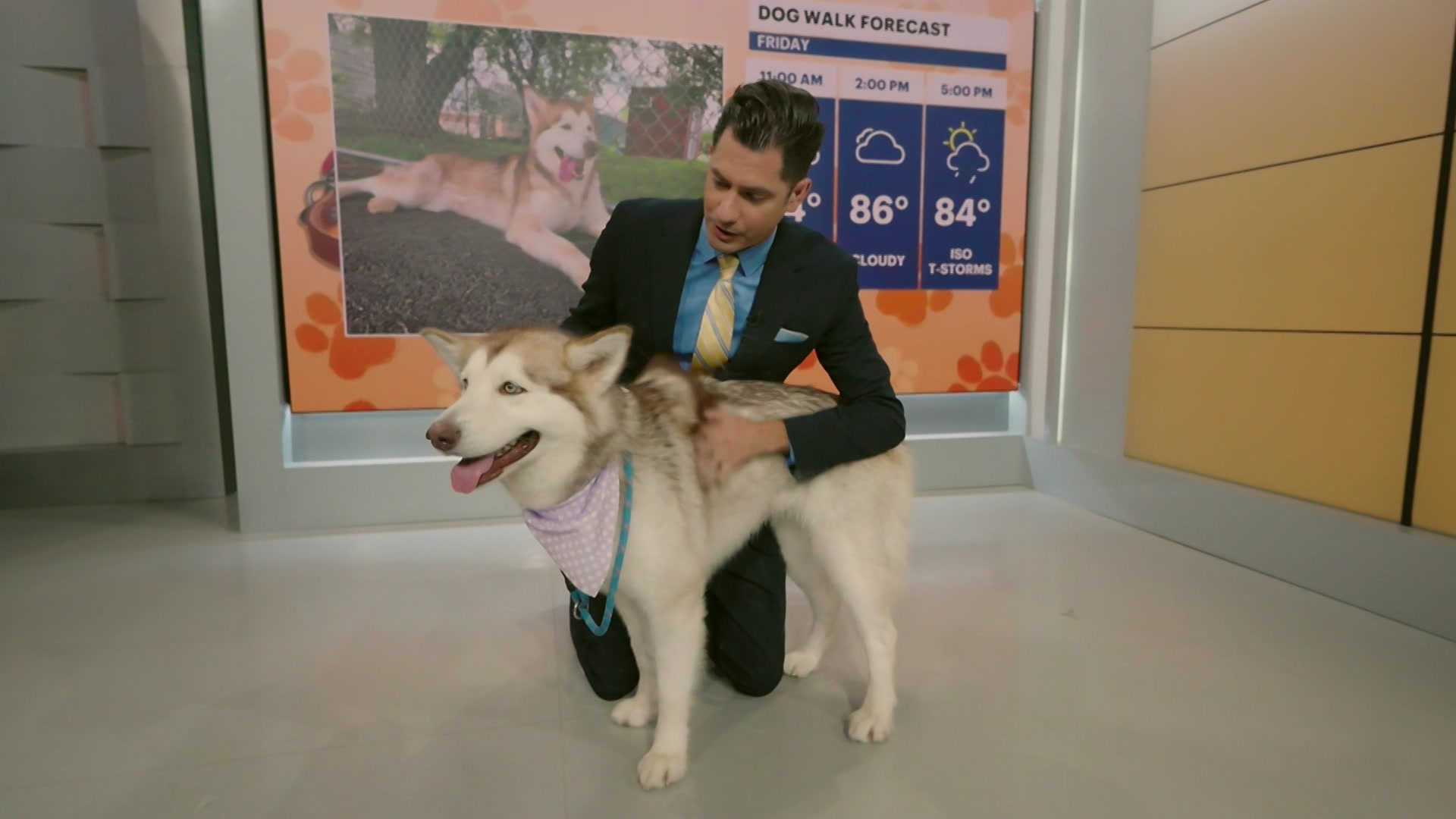 PawsAndPals0710NJTA_2026-07-10-10-57-49