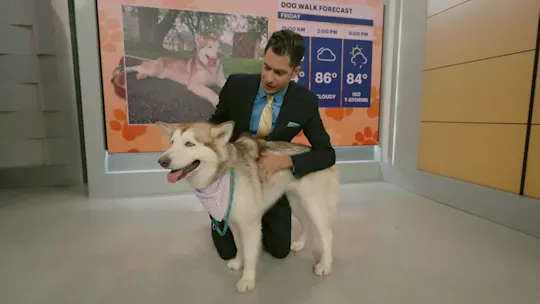 PawsAndPals0710NJTA_2026-07-10-10-57-49