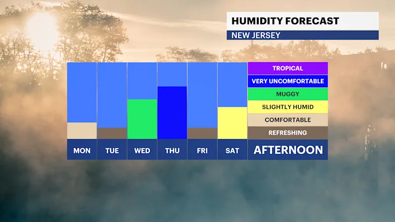 FB_Dewpoint_Daily.png