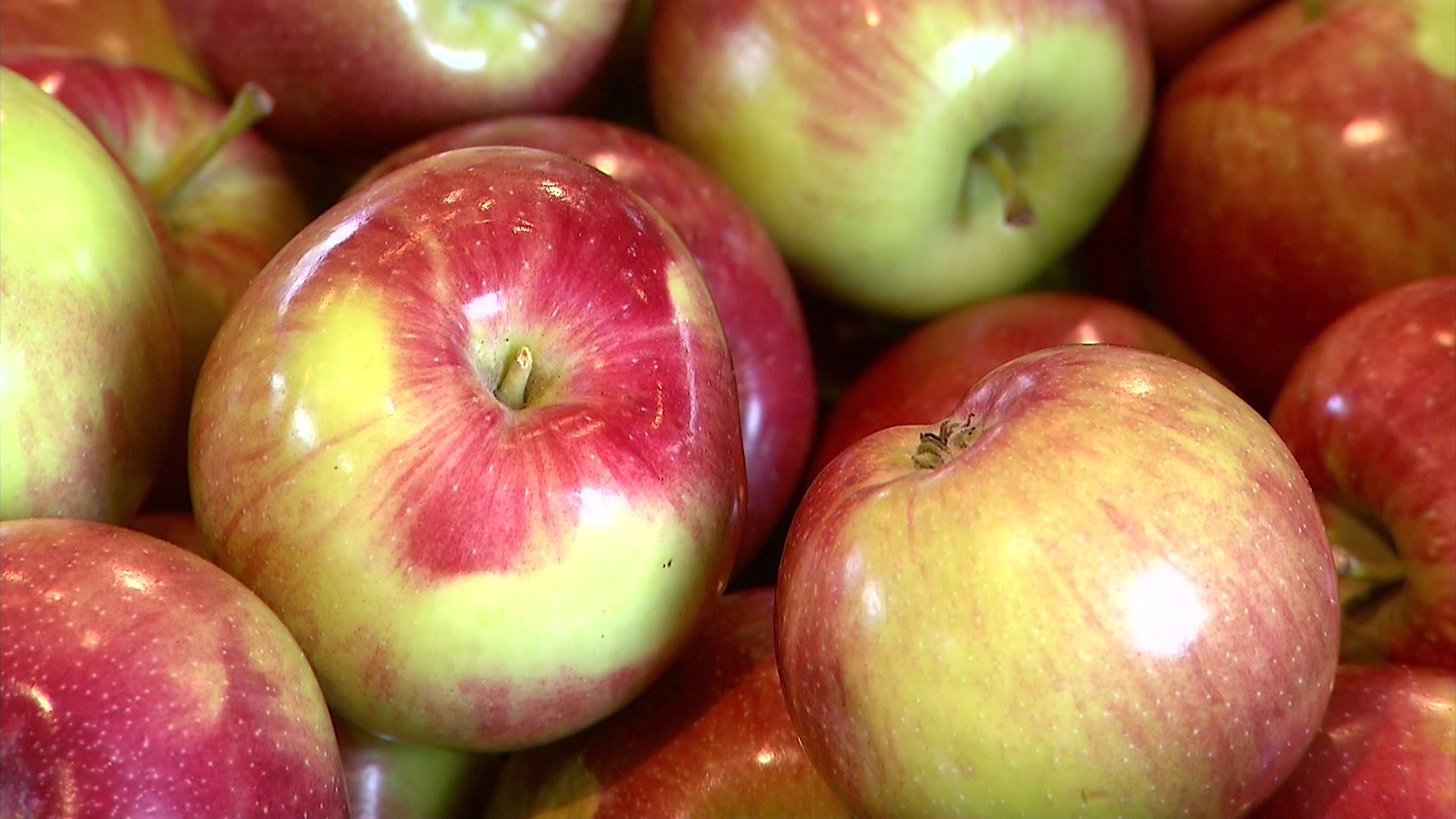 COSTOFFOODPRICES6126_2026-06-01-05-46-52