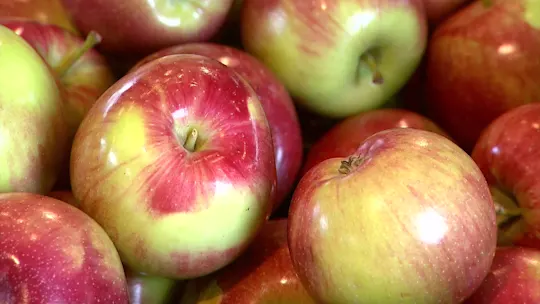 COSTOFFOODPRICES6126_2026-06-01-05-46-52