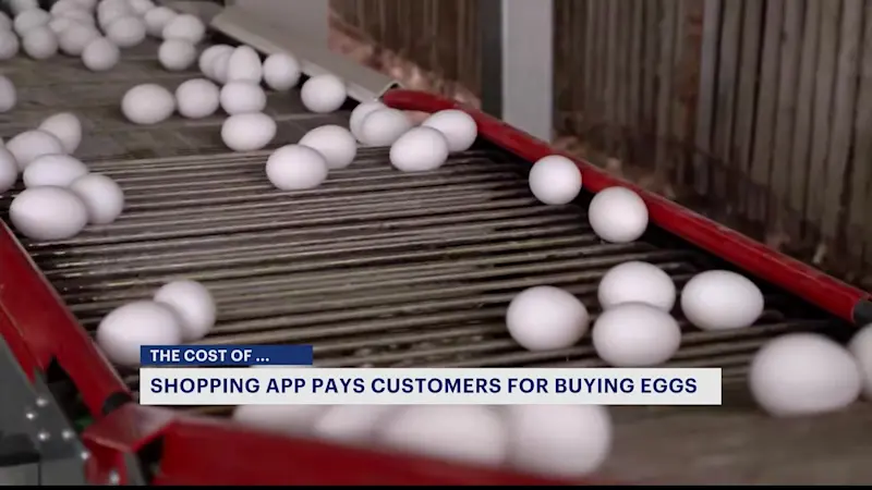 Story image: COST OF: Shopping app pays you for egg purchases