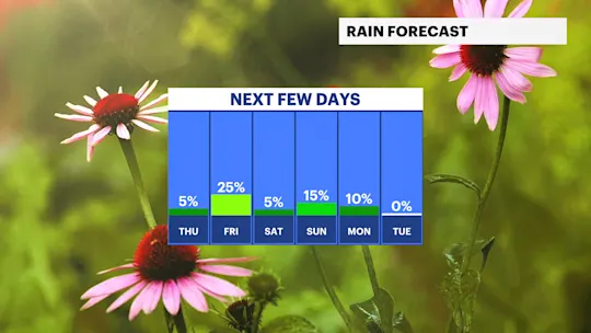 FB Rain Day