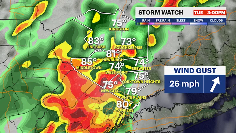 2JS F_Alert_StormWatch.png