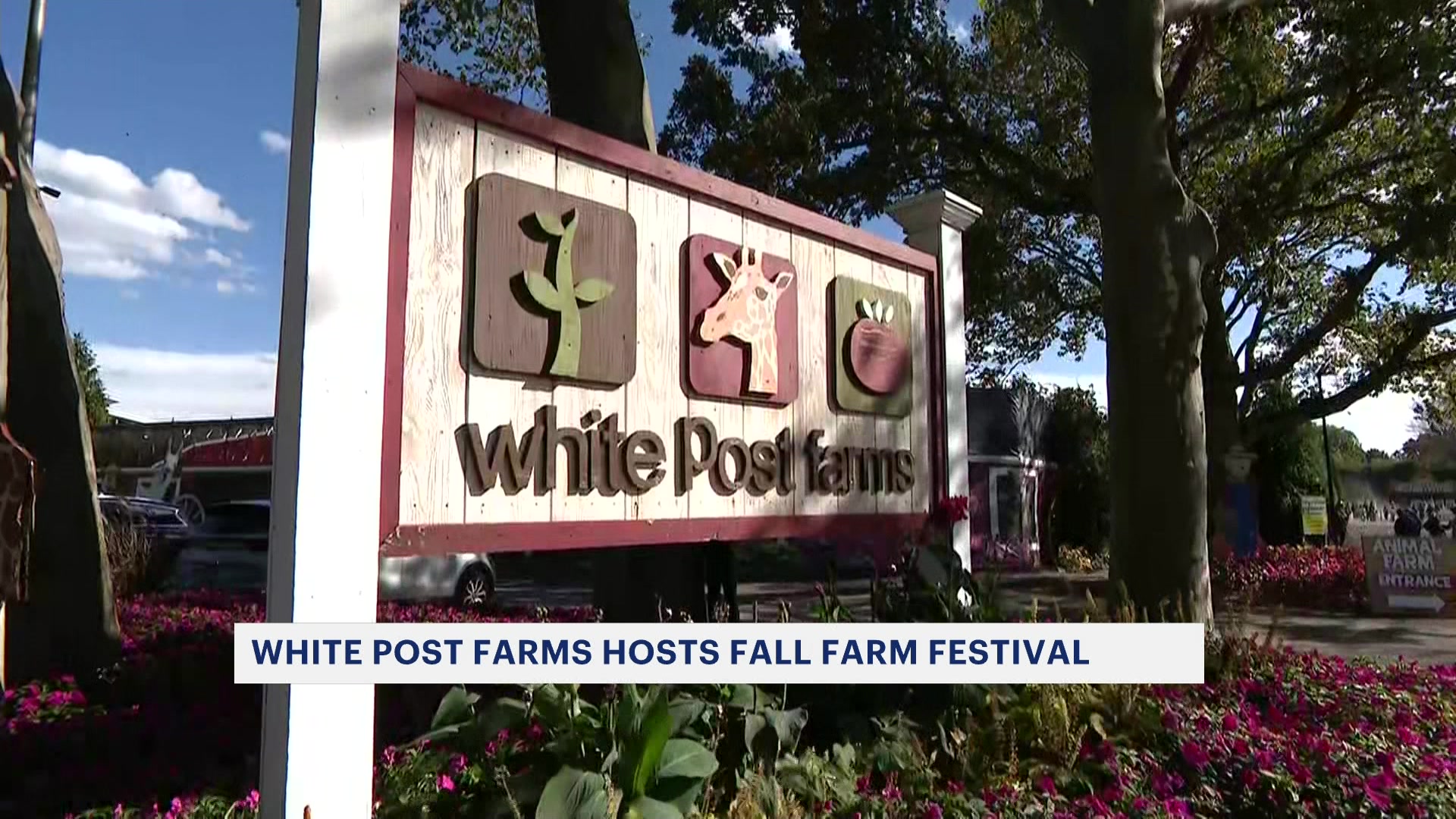 News 12 | Long Island | White Post Farms of Melville hosts Fall Farm ...