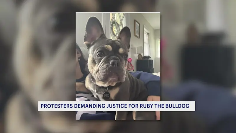 Story image: Cold weather causes water main breaks and traffic delays across New Jersey