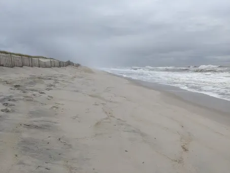 Elevated bacteria levels prompt bathing advisories at dozens of Long Island beaches