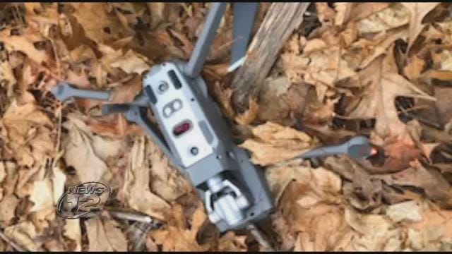 Article 50366 Thumbnail