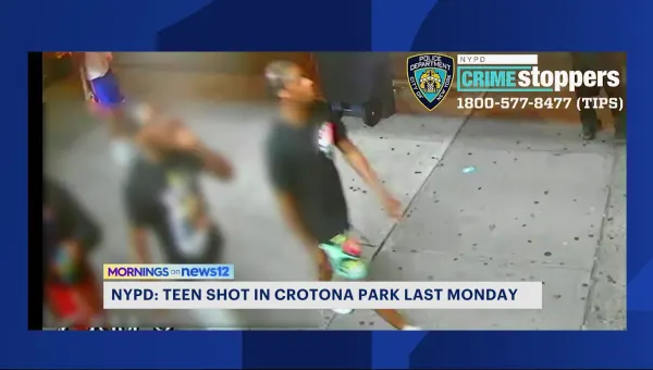 NYPD: 17-year-old shot in the stomach in the Bronx is in critical condition