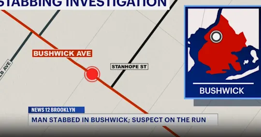 bushwick stabbing