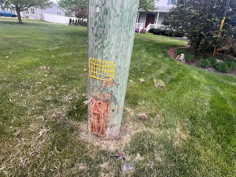 DOWNED POLE 2.jpg
