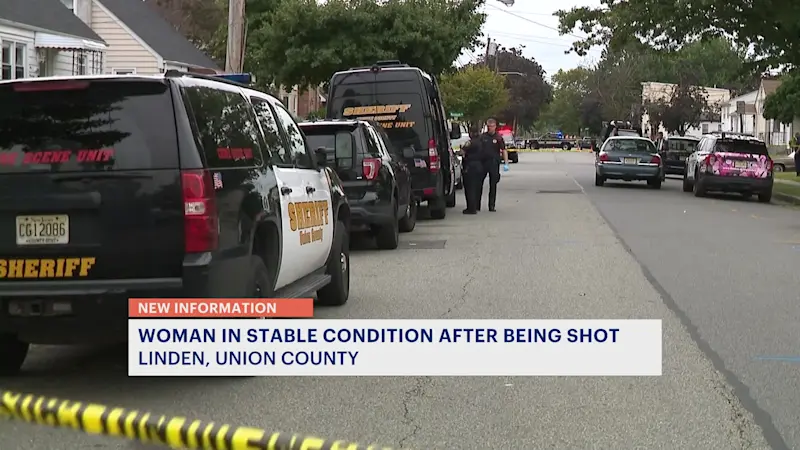 Story image: Woman shot on Linden sidewalk now in stable condition