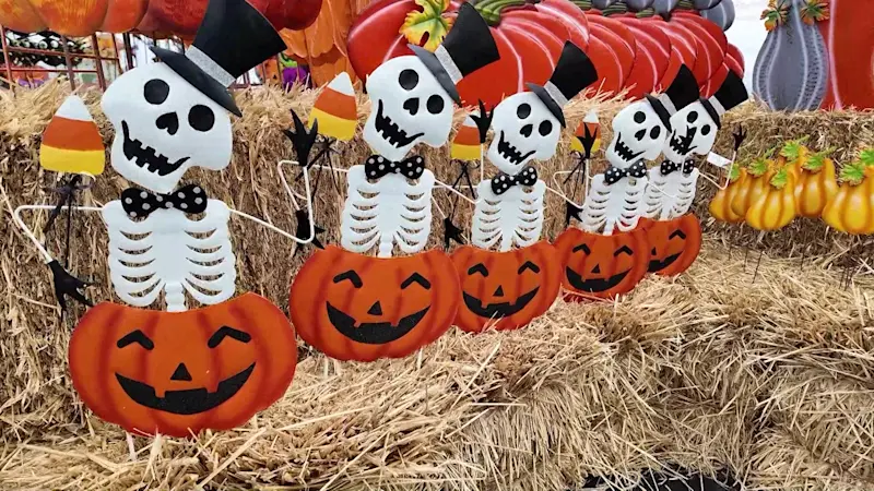 Story image: The East End: Stakey's Pumpkin Farm