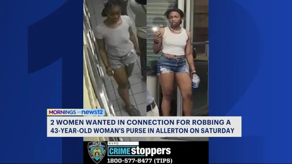 NYPD: 2 women wanted for robbing 43-year-old woman's purse in Allerton