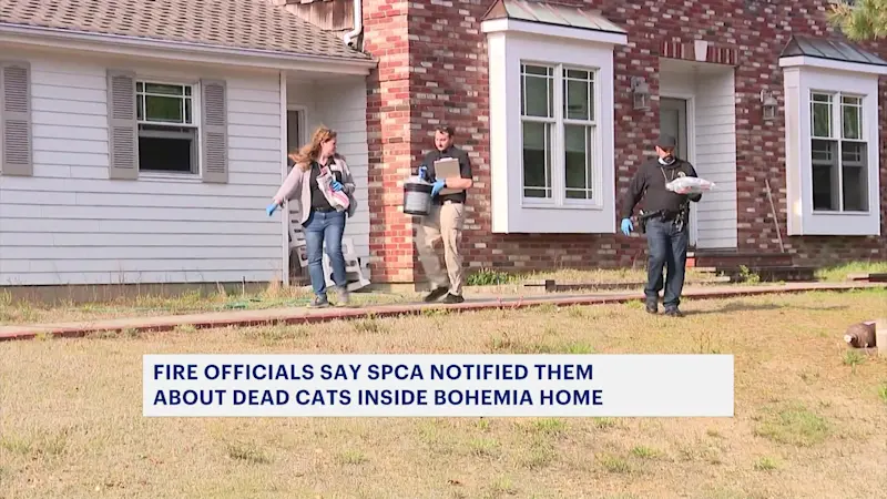Story image: Fire officials: SPCA finds several dead cats inside Bohemia home