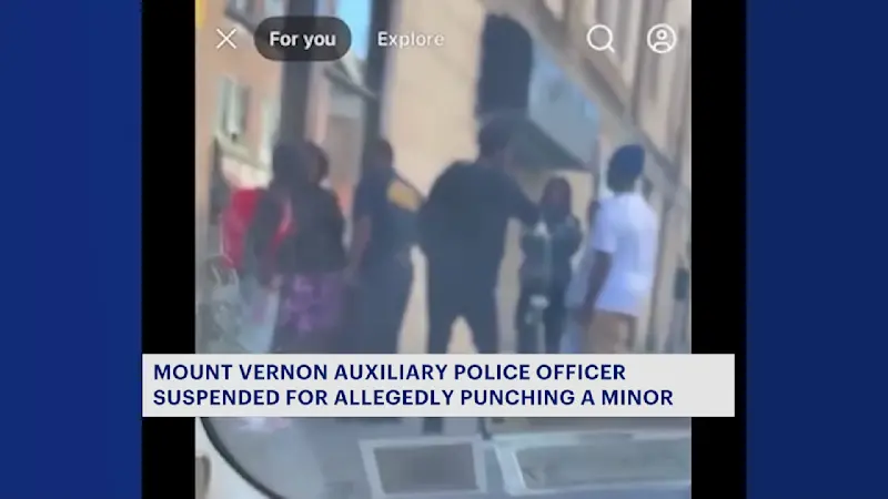 Story image: Video shows auxiliary officer allegedly punching minor
