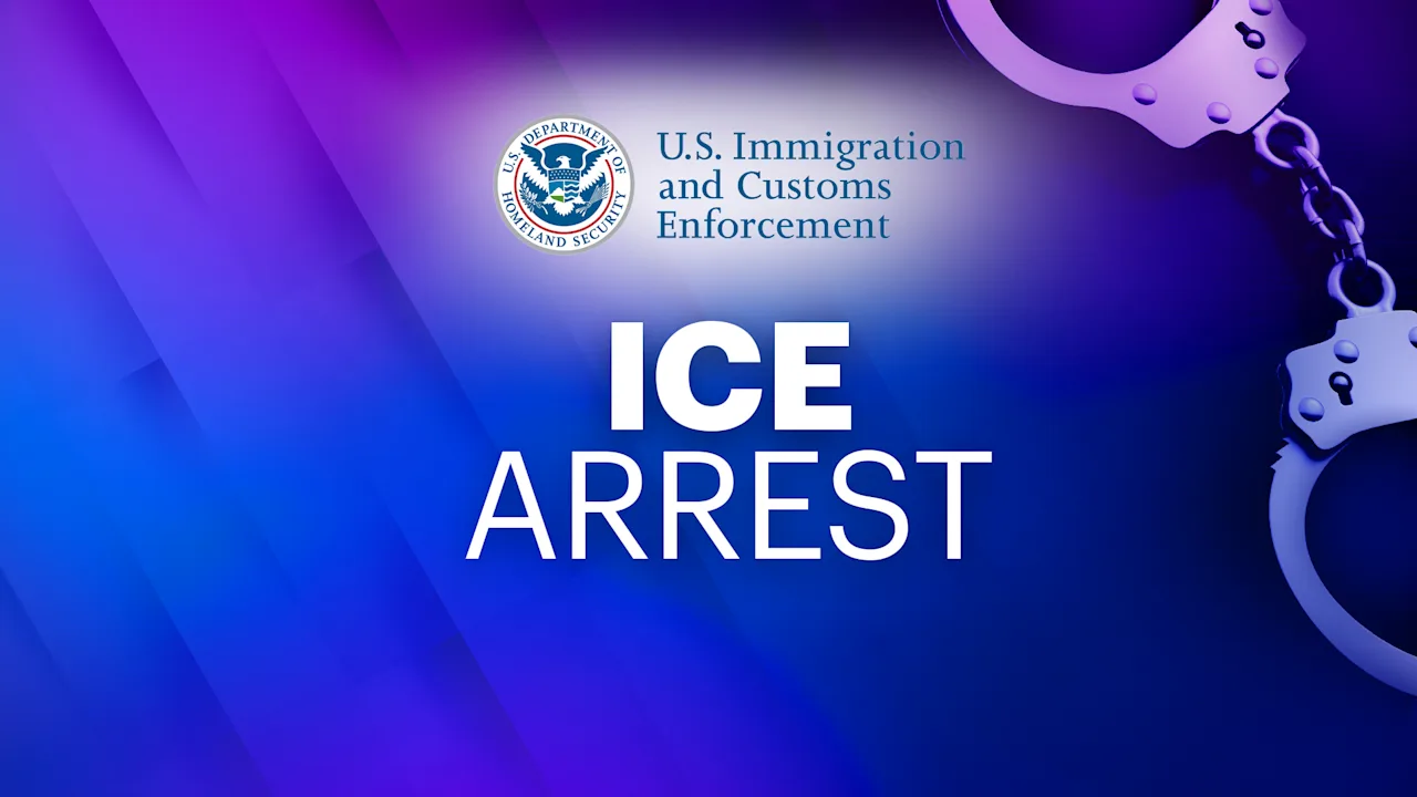 ICE ARREST MONITOR copy