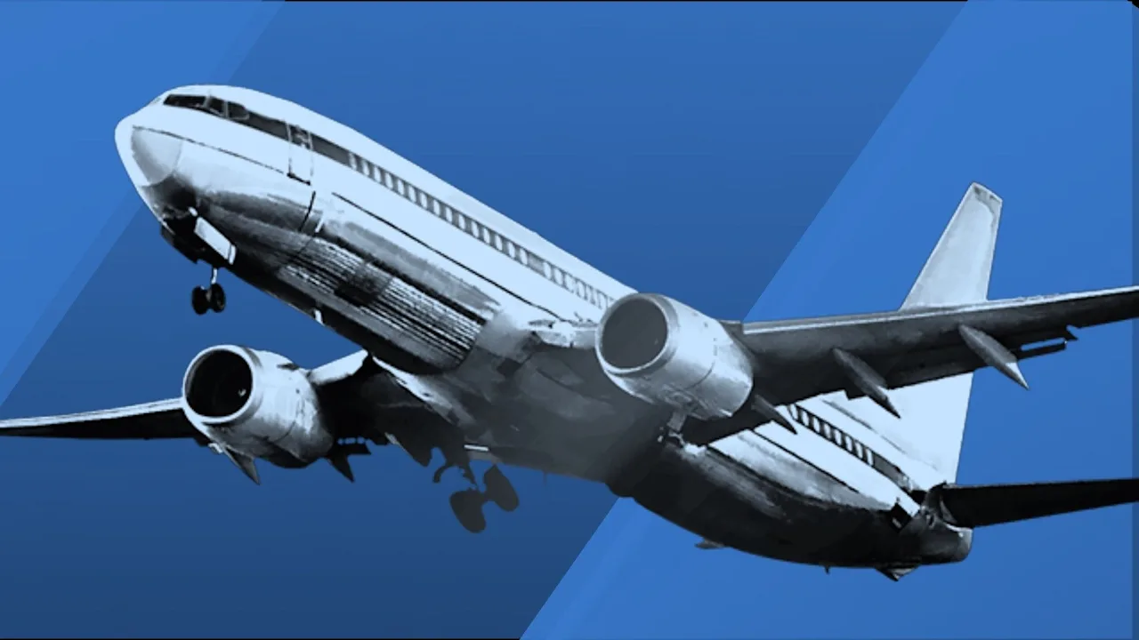 Article 48243 Thumbnail