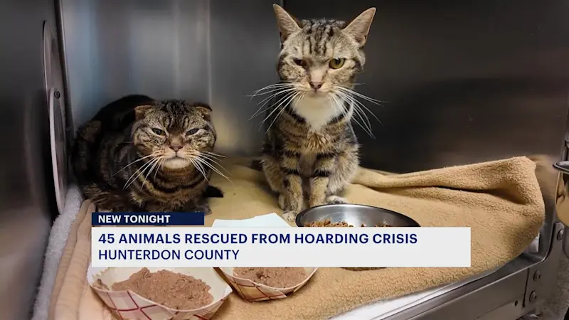 Story image: 45 pets rescued from Annandale home owned by animal rescue president