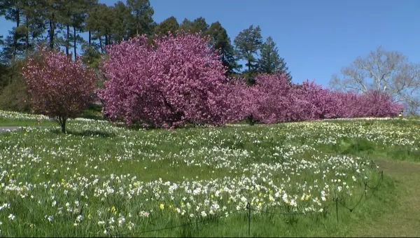 New York Botanical Garden celebrates Earth Day
