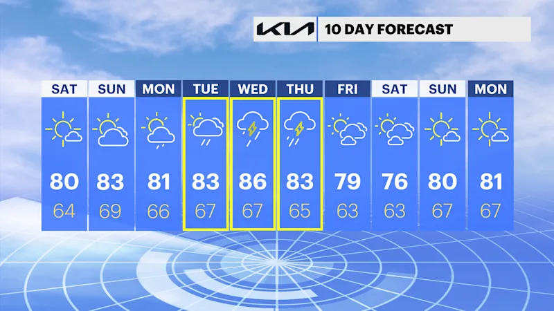 NY 10 DAY.png
